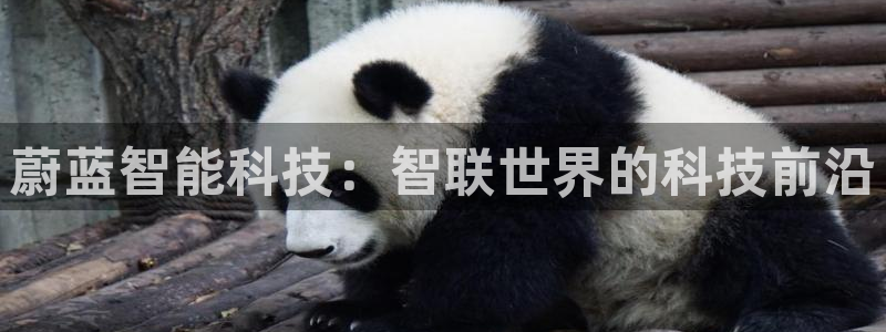蔚蓝智能科技：智联世界的科技前沿