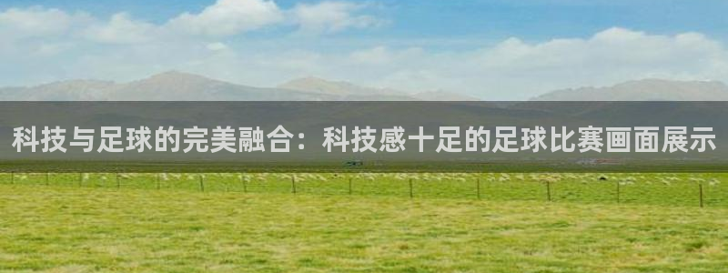 科技与足球的完美融合：科技感十足的足球比赛画面展示