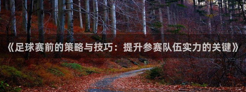 《足球赛前的策略与技巧：提升参赛队伍实力的关键》