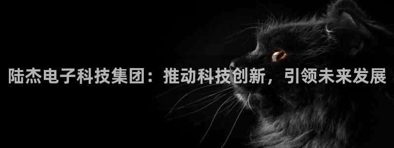 陆杰电子科技集团：推动科技创新，引领未来发展