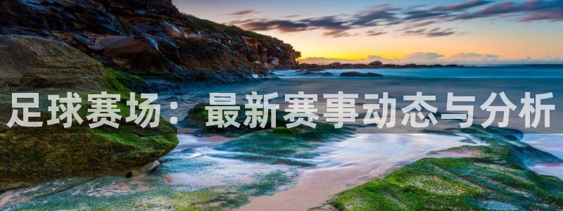 足球赛场：最新赛事动态与分析
