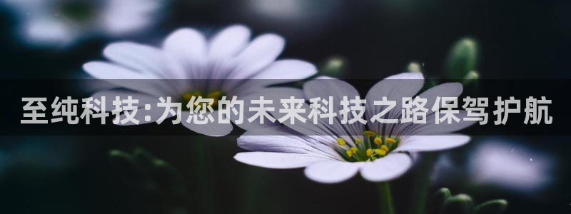 至纯科技:为您的未来科技之路保驾护航