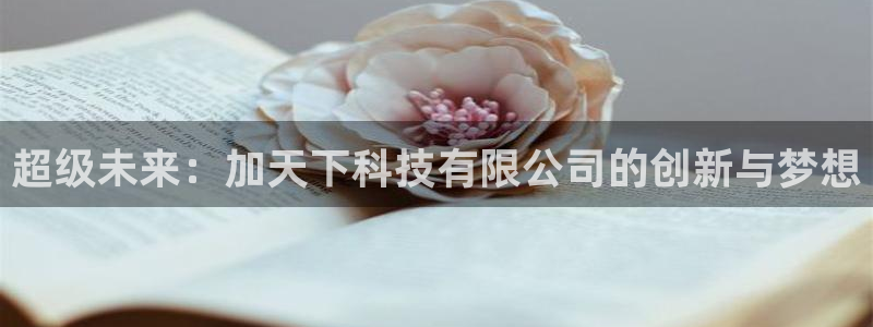 超级未来：加天下科技有限公司的创新与梦想