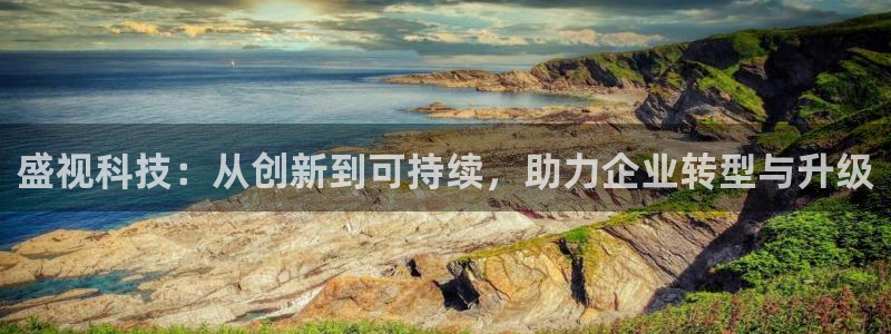 盛视科技：从创新到可持续，助力企业转型与升级