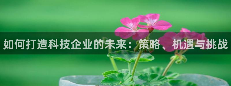 如何打造科技企业的未来：策略、机遇与挑战