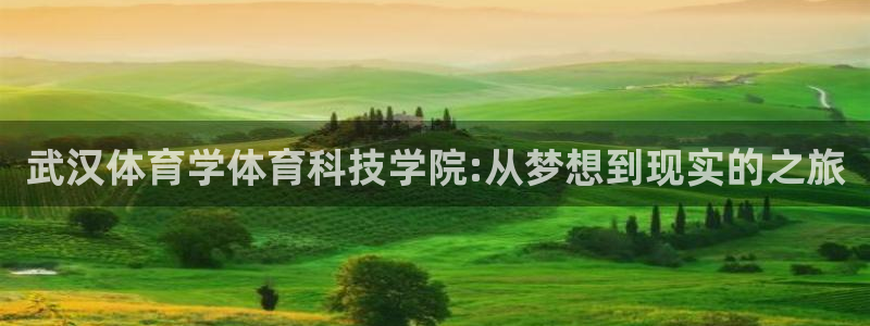 武汉体育学体育科技学院:从梦想到现实的之旅