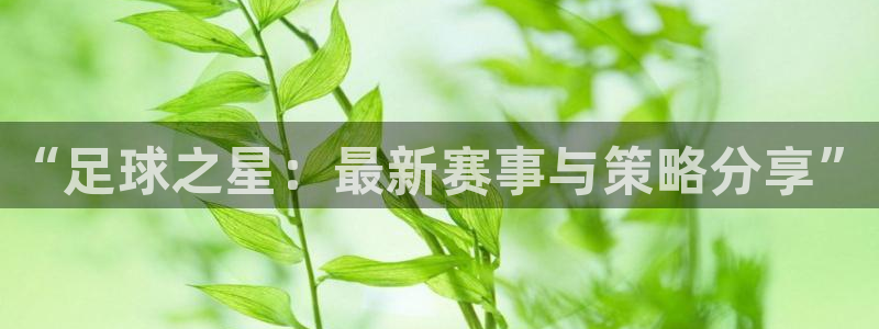 “足球之星：最新赛事与策略分享”