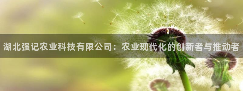 湖北强记农业科技有限公司：农业现代化的创新者与推动者