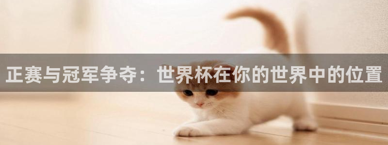 正赛与冠军争夺：世界杯在你的世界中的位置