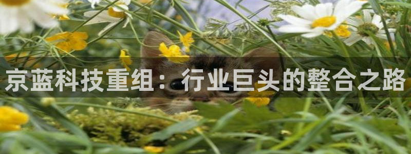 京蓝科技重组：行业巨头的整合之路