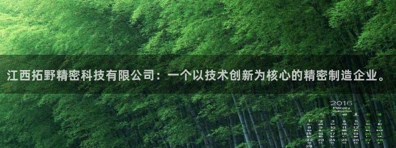 江西拓野精密科技有限公司：一个以技术创新为核心的精密制造企业。