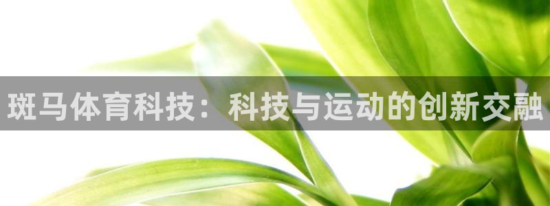 斑马体育科技：科技与运动的创新交融