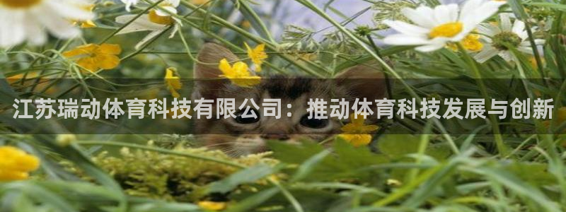 江苏瑞动体育科技有限公司：推动体育科技发展与创新